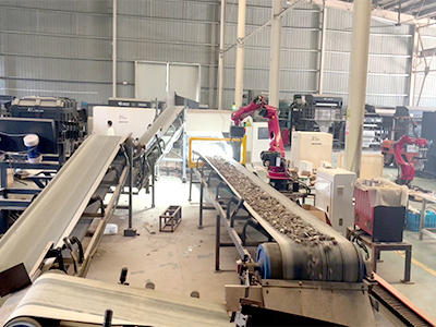 foreign object removal robot